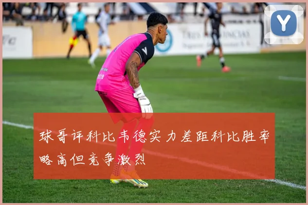 球哥评科比韦德实力差距科比胜率略高但竞争激烈